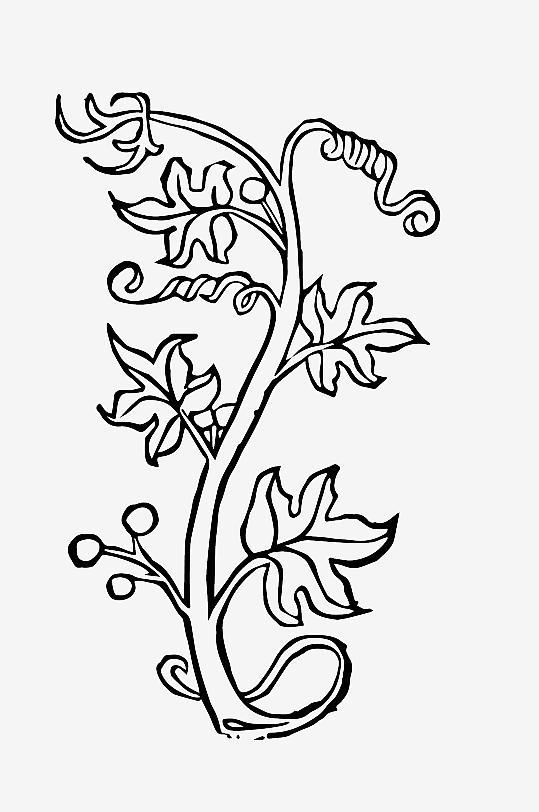 创意矢量植物元素设计-众图网