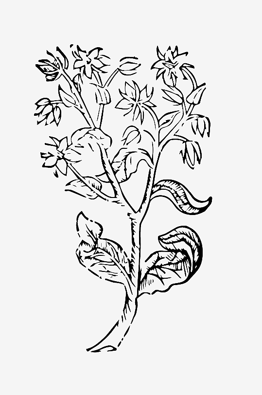 创意矢量植物元素设计-众图网