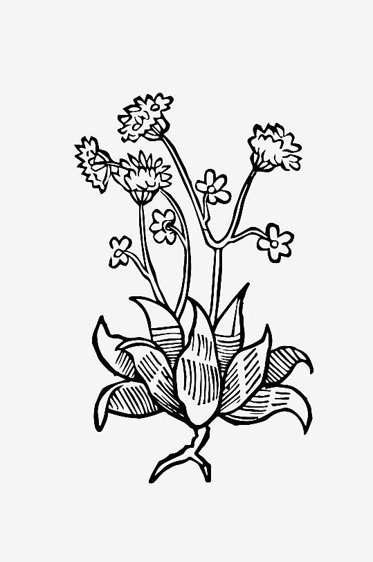 创意矢量植物元素设计-众图网