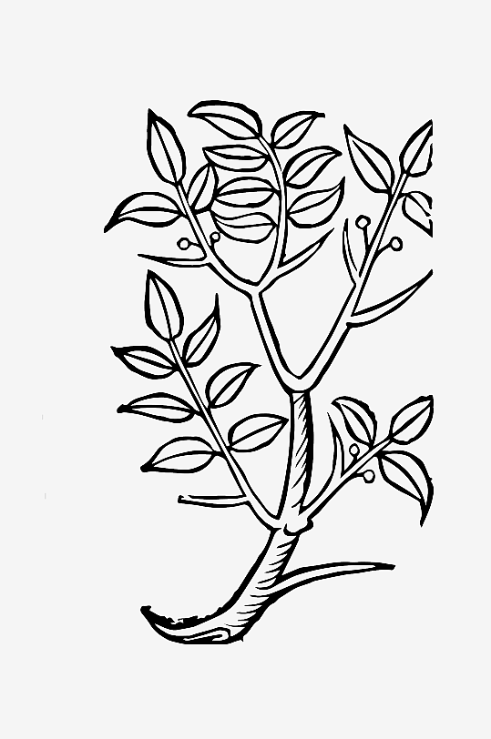 创意矢量植物元素设计-众图网