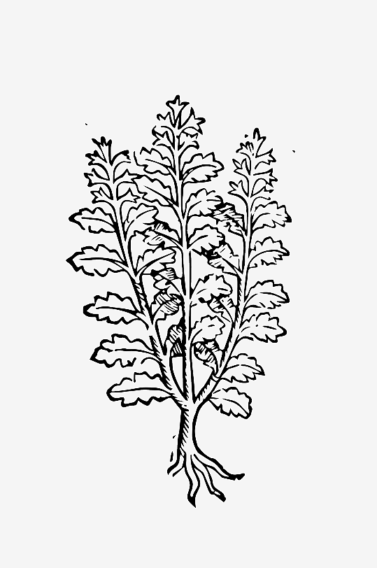 创意矢量植物元素设计-众图网