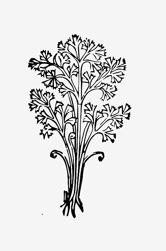 创意矢量植物元素设计-众图网