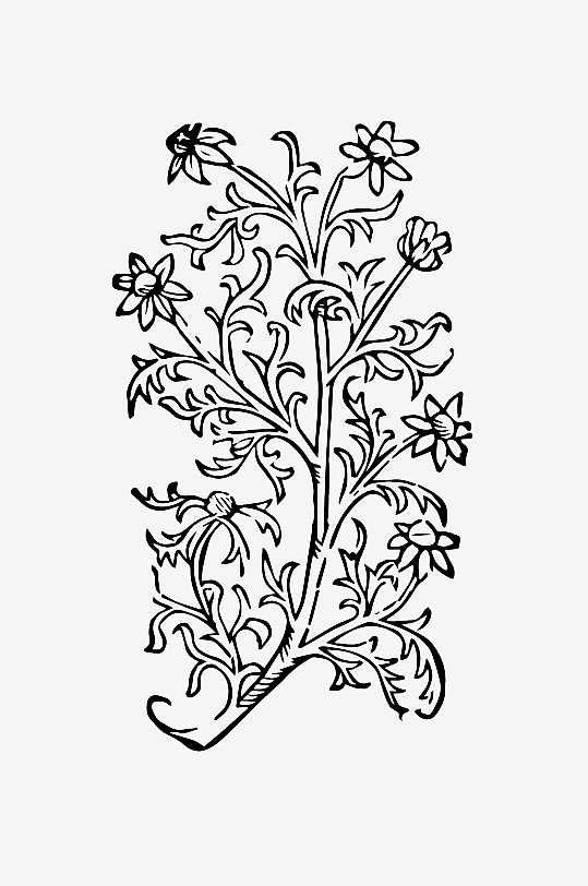 创意矢量植物元素设计-众图网