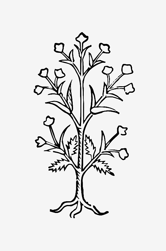 创意矢量植物元素设计-众图网