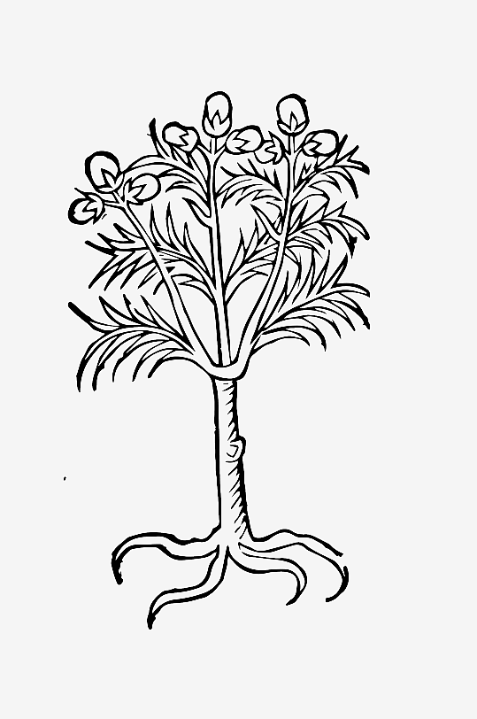 创意矢量植物元素设计-众图网