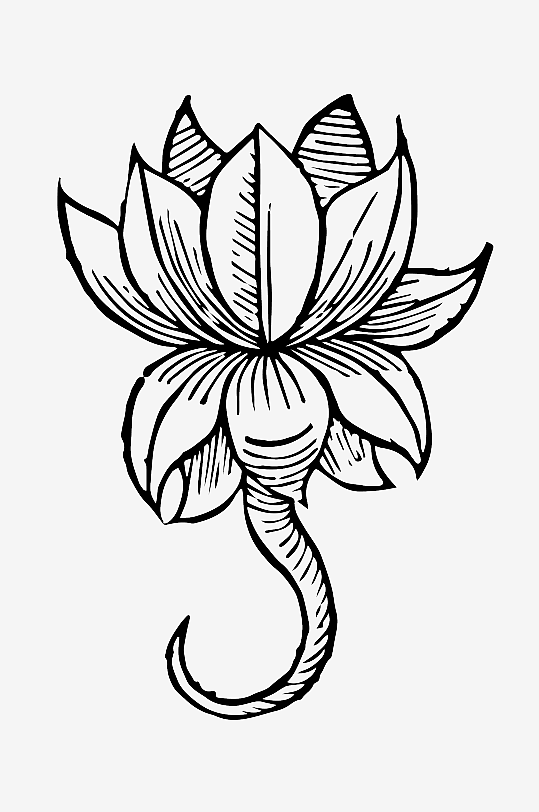 创意矢量植物元素设计-众图网