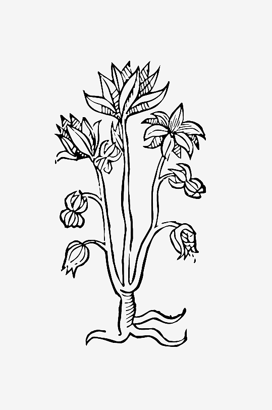 创意矢量植物元素设计-众图网