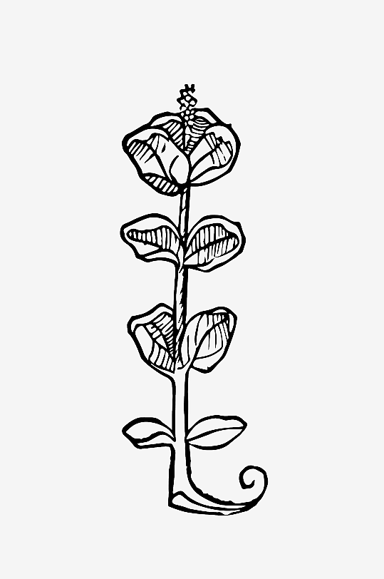 创意矢量植物元素设计-众图网