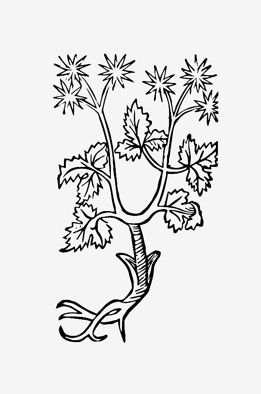 创意矢量植物元素设计-众图网