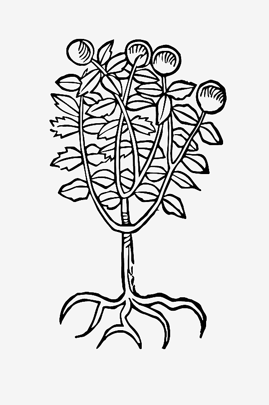 创意矢量植物元素设计-众图网