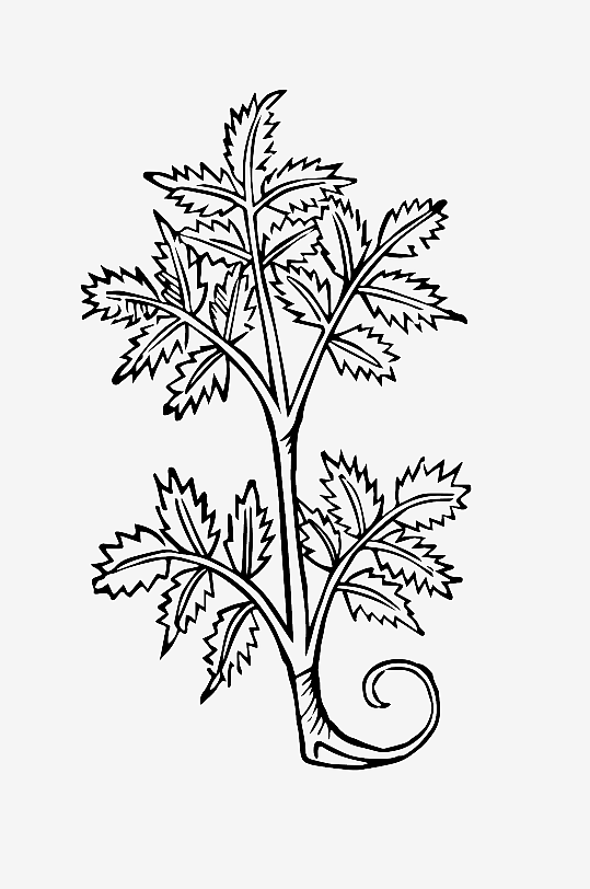 创意矢量植物元素设计-众图网