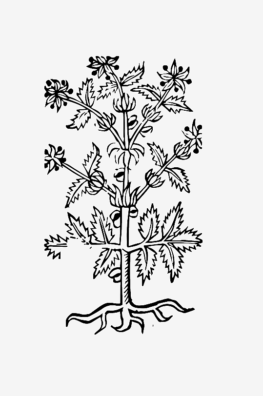 创意矢量植物元素设计-众图网