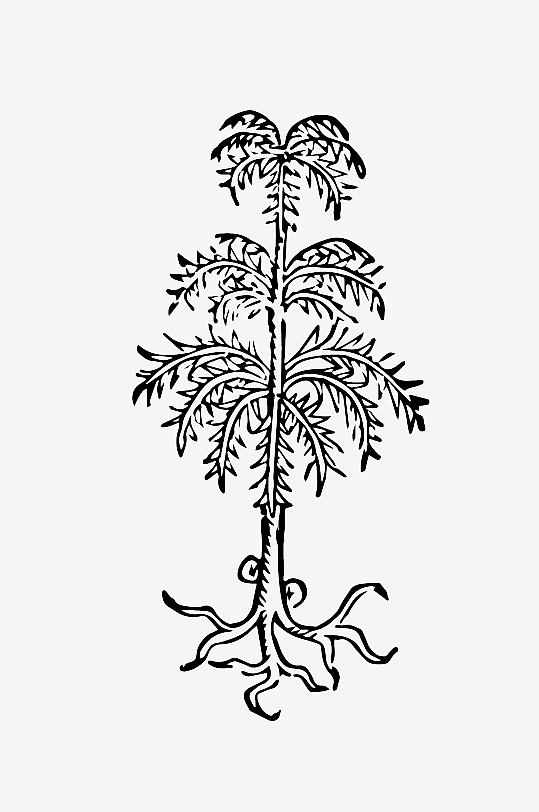 创意矢量植物元素设计-众图网