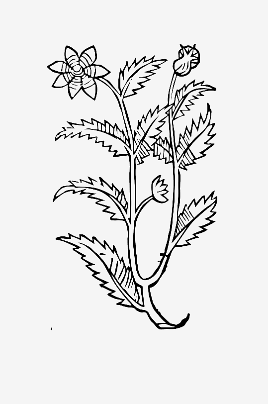 创意矢量植物元素设计-众图网