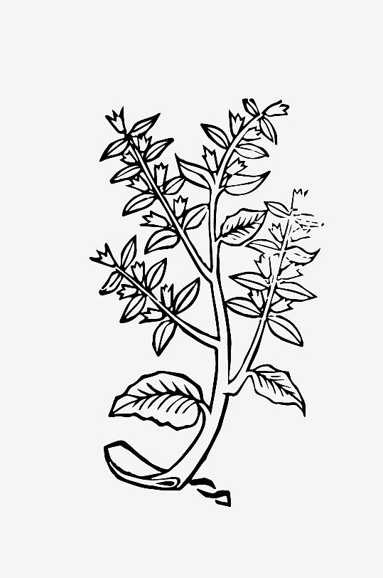 创意矢量植物元素设计-众图网