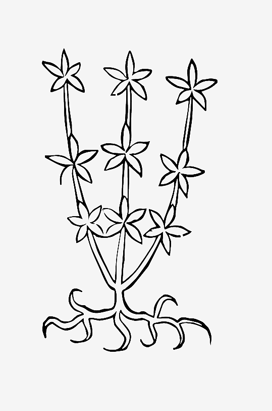 创意矢量植物元素设计-众图网