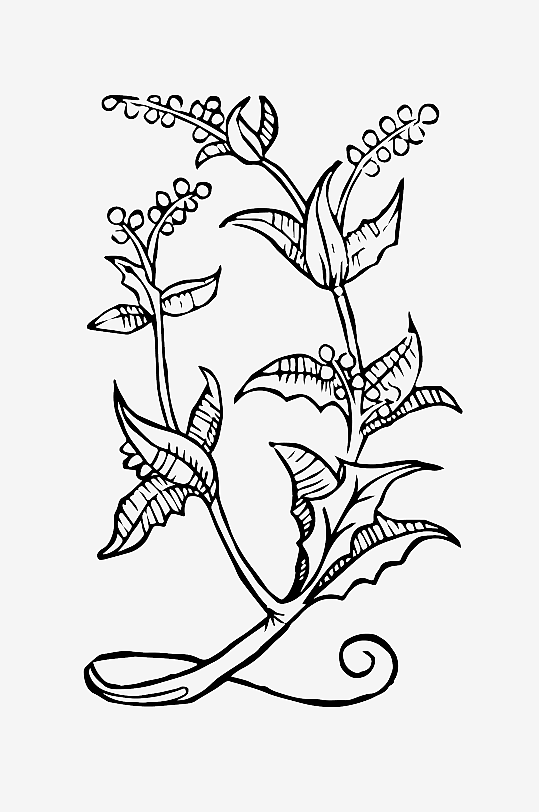 创意矢量植物元素设计-众图网