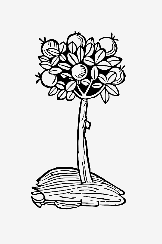 创意矢量植物元素设计-众图网