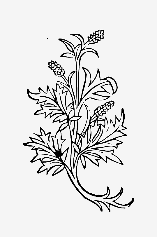 创意矢量植物元素设计-众图网