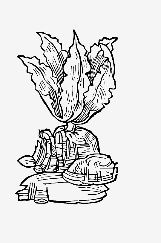 创意矢量植物元素设计-众图网