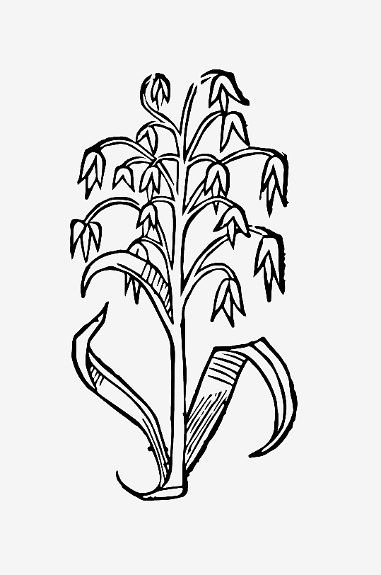 创意矢量植物元素设计-众图网