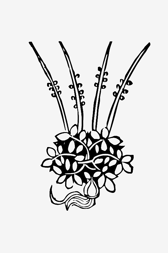 创意矢量植物元素设计-众图网