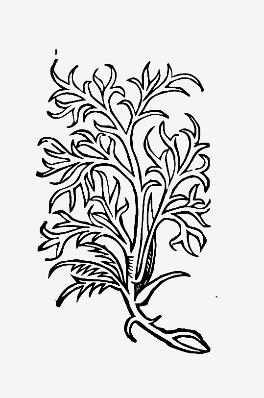 创意矢量植物元素设计-众图网