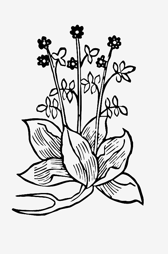 创意矢量植物元素设计-众图网