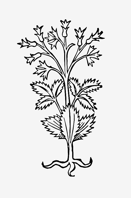 创意矢量植物元素设计-众图网