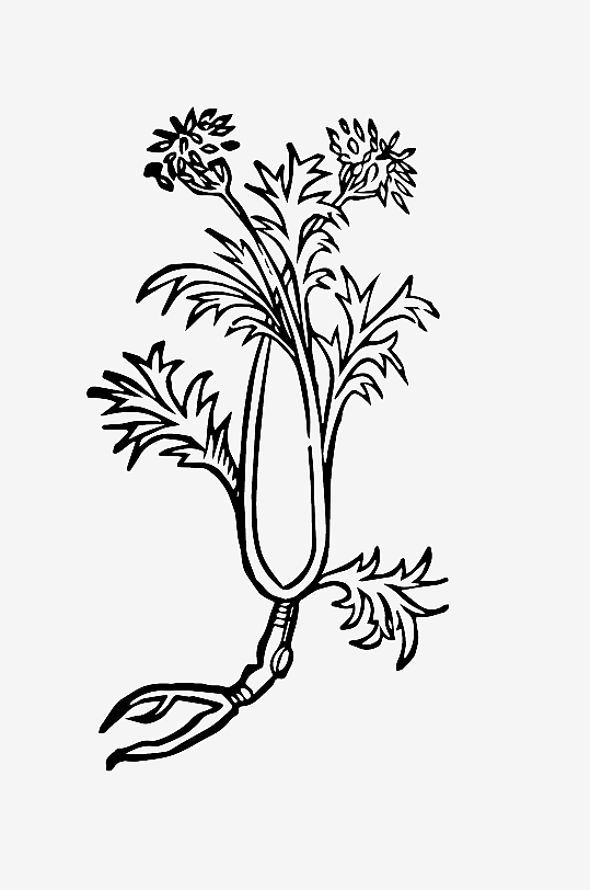 创意矢量植物元素设计-众图网