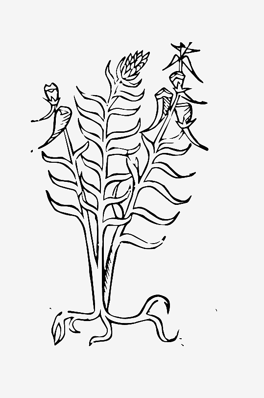 创意矢量植物元素设计-众图网