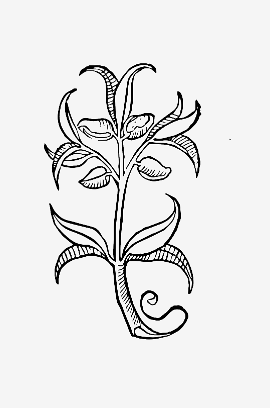 创意矢量植物元素设计-众图网