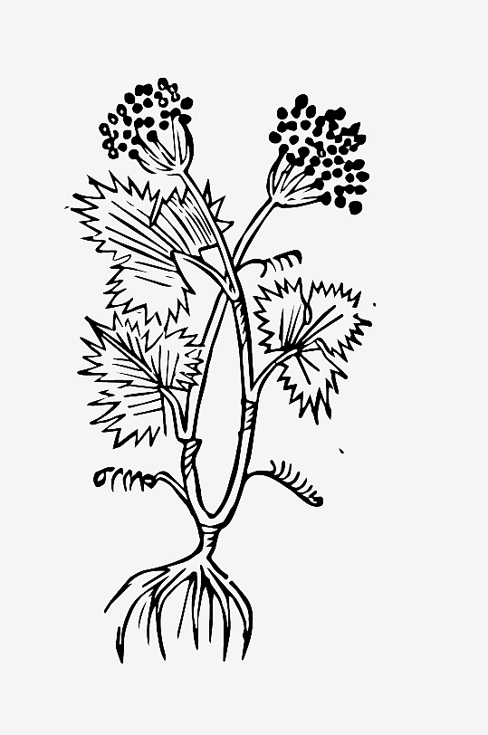 创意矢量植物元素设计-众图网