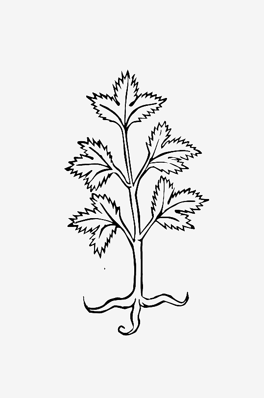 创意矢量植物元素设计-众图网