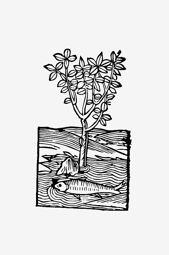 创意矢量植物元素设计-众图网