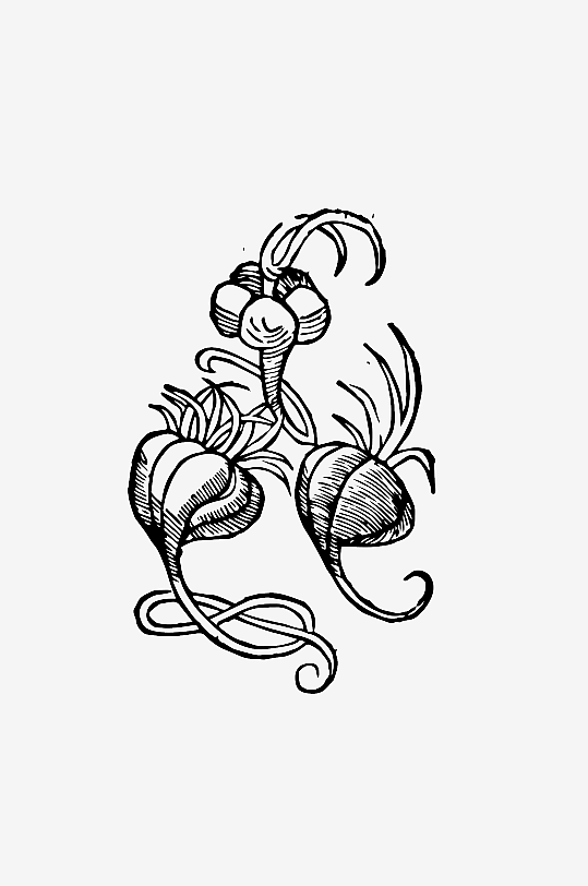 创意矢量植物元素设计-众图网