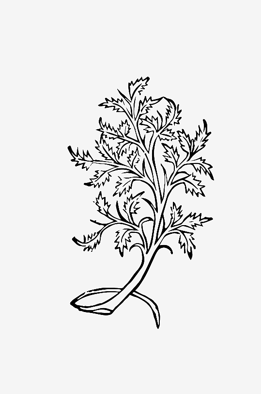 创意矢量植物元素设计-众图网