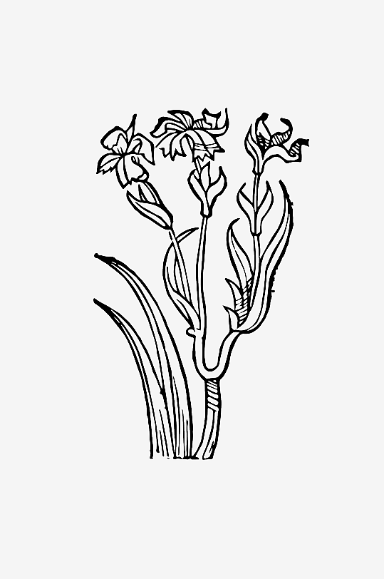 创意矢量植物元素设计-众图网