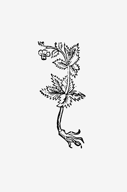 创意矢量植物元素设计-众图网