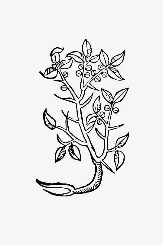 创意矢量植物元素设计-众图网