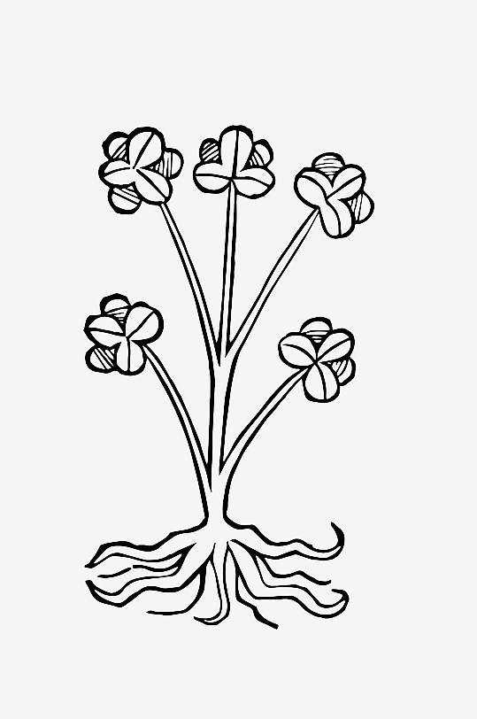 创意矢量植物元素设计-众图网