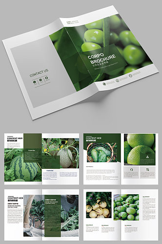 水果画册蔬菜画册农产品画册设计素材图片