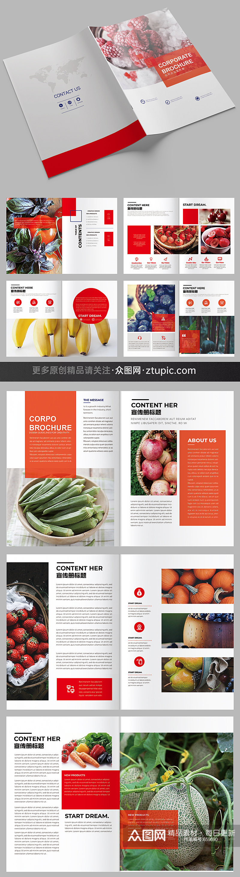 水果蔬菜画册农产品画册设计效果图素材