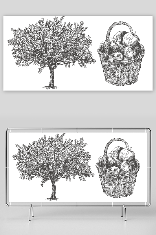 苹果树苹果篮插画背景