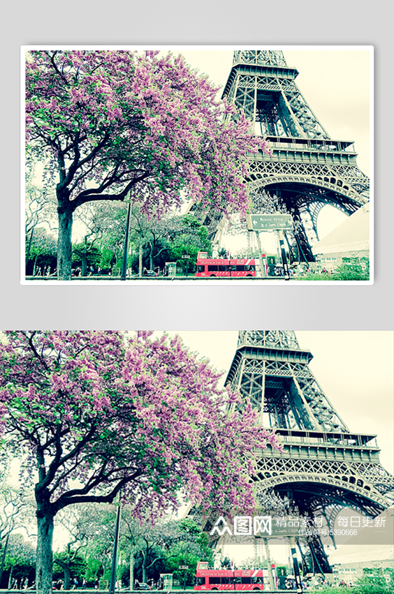 埃菲尔铁塔和开花的树素材