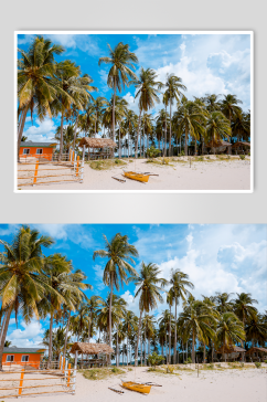 美丽的热带海滩和椰子树的景色