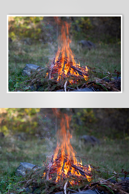森林篝火晚会摄影