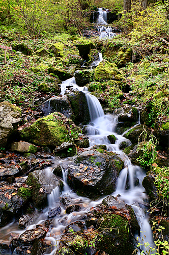 望天鹅自然风景区