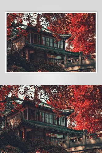 红叶下的南京古建筑
