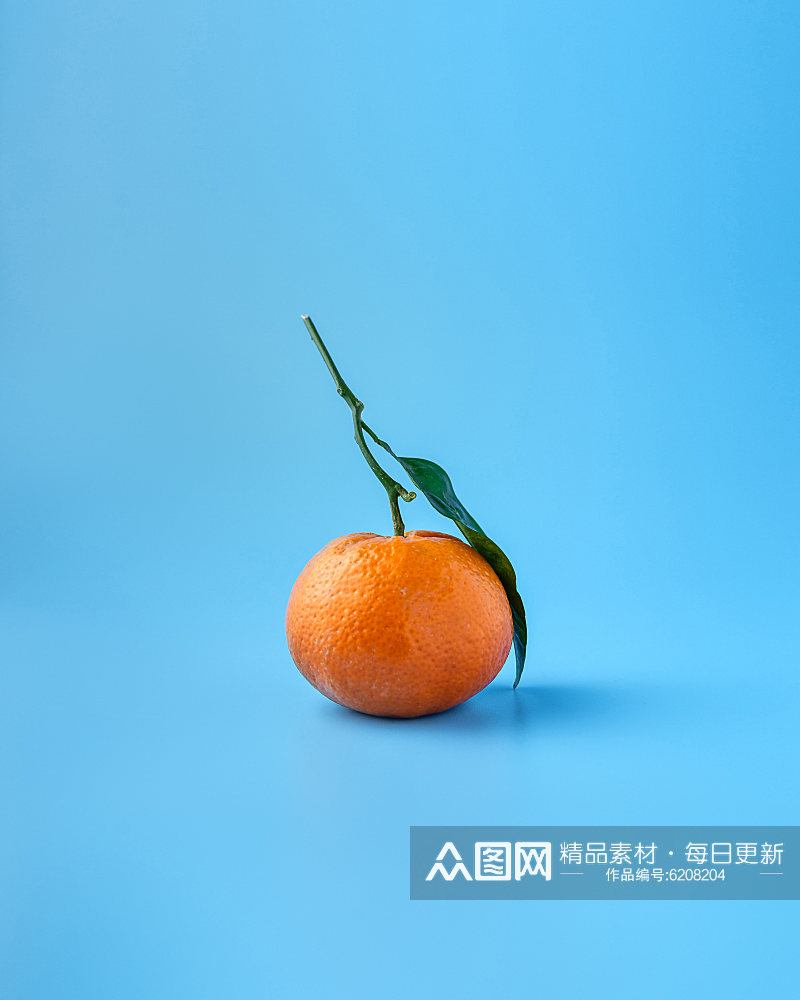 一只橘子特写高清图素材